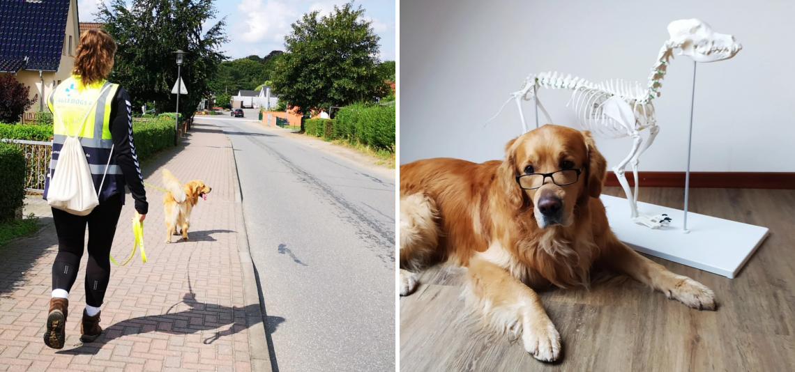 Seminare, Events Social Walks und Prüfungen