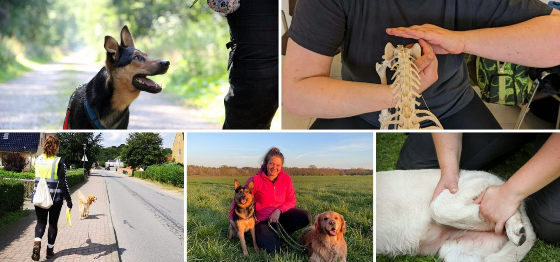 Mantrailinggruppentraining und Theorieunterricht